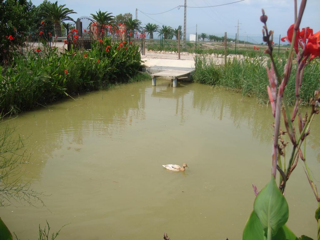 Caseta Les Creus Riumar Luaran gambar